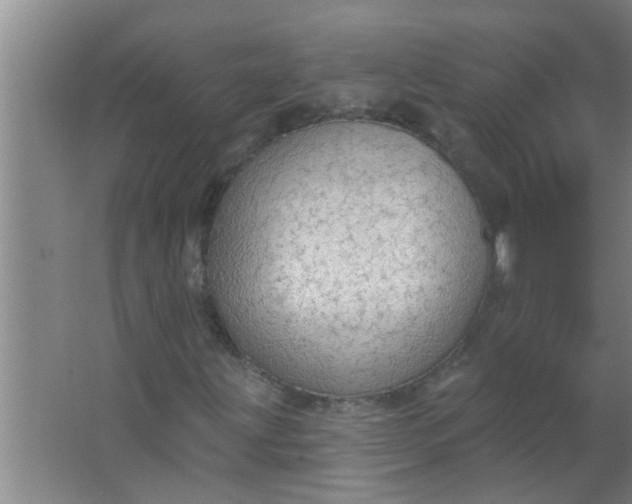 X0000063531203200602032127