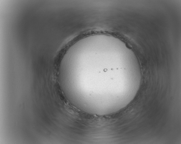 X0000063531207200602032127