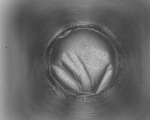 X0000063531208200602032127