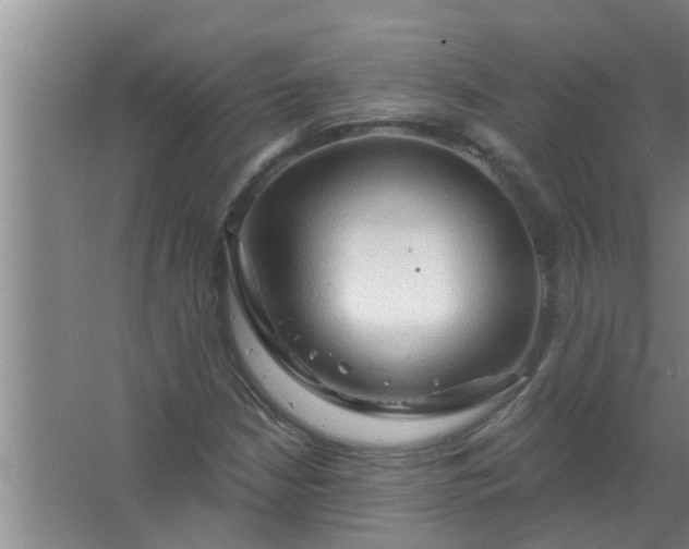 X0000063531210200602032127