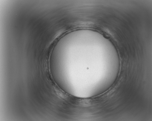 X0000063531211200602032127