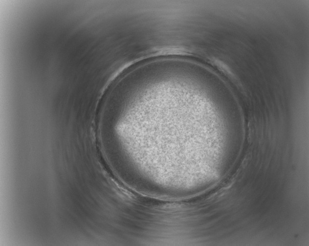 X0000063531212200602032127