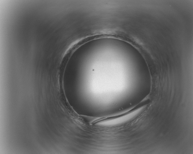 X0000063531214200602032127