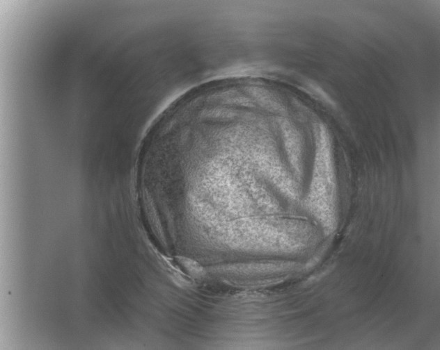 X0000063531216200602032127