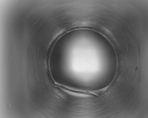 X0000063531218200602032127