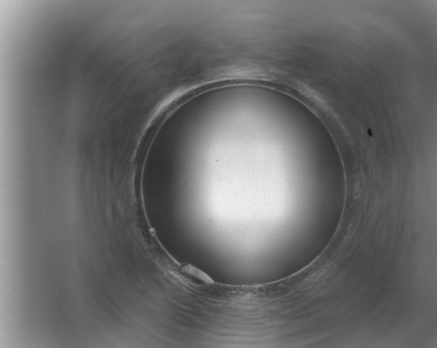 X0000063531222200602032127