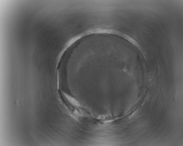 X0000063531223200602032127