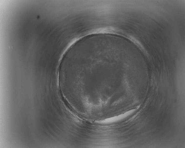 X0000063531224200602032127