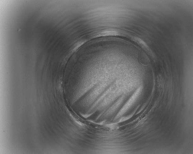 X0000063531225200602032127