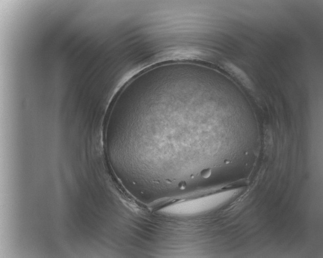 X0000063531226200602032127