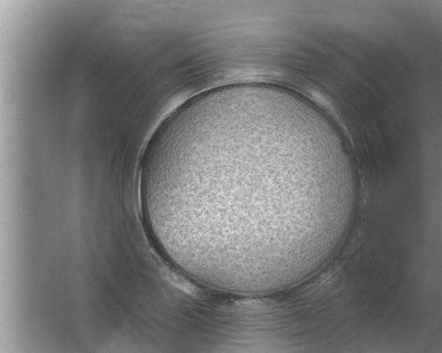 X0000063531227200602032127