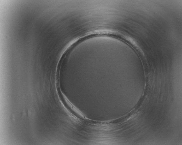 X0000063531229200602032128