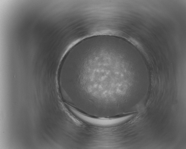 X0000063531230200602032128