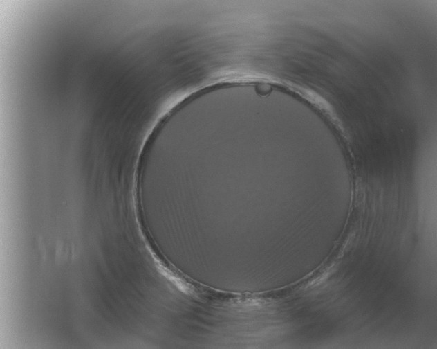 X0000063531231200602032128