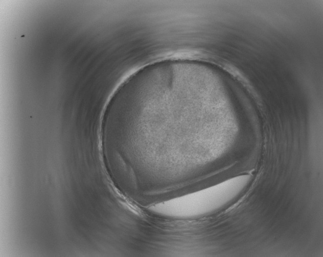 X0000063531232200602032128