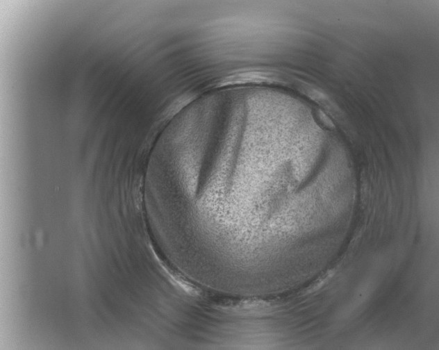 X0000063531233200602032128