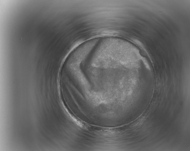 X0000063531235200602032128