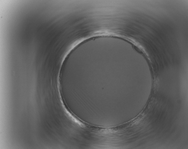 X0000063531239200602032128