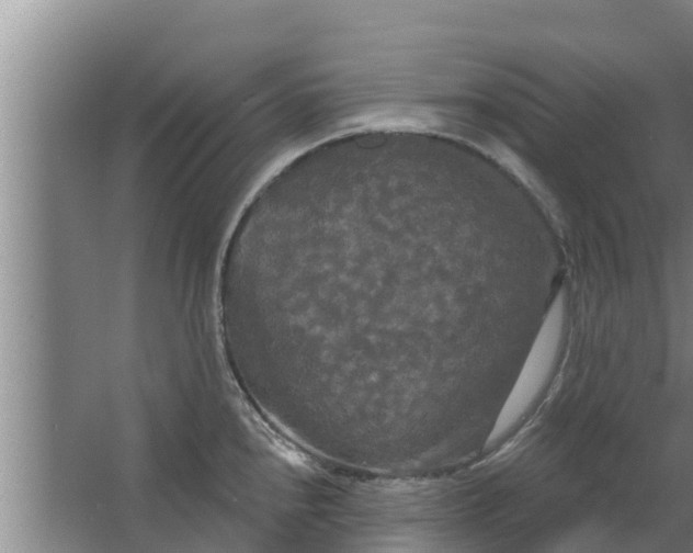 X0000063531240200602032128