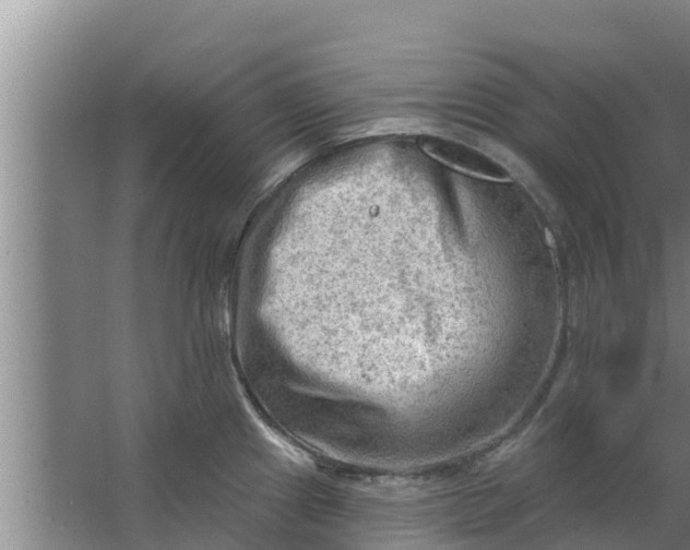 X0000063531241200602032128