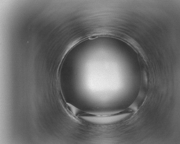 X0000063531242200602032128