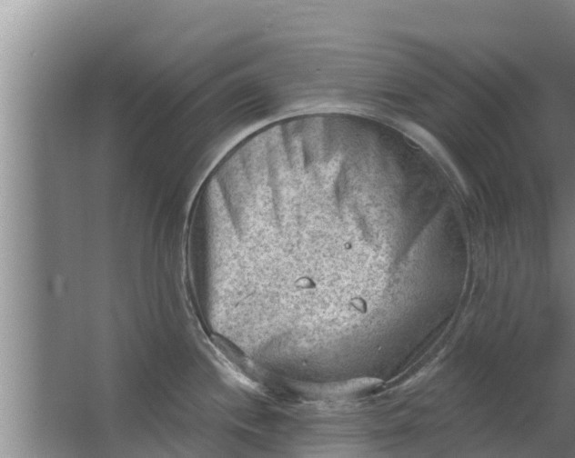 X0000063531244200602032128