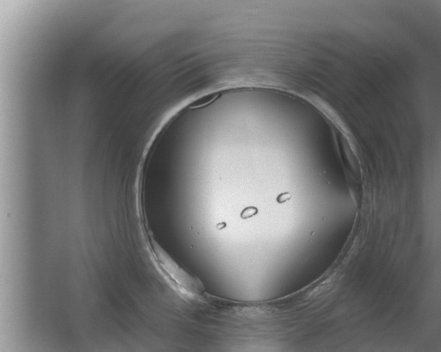 X0000063531246200602032128