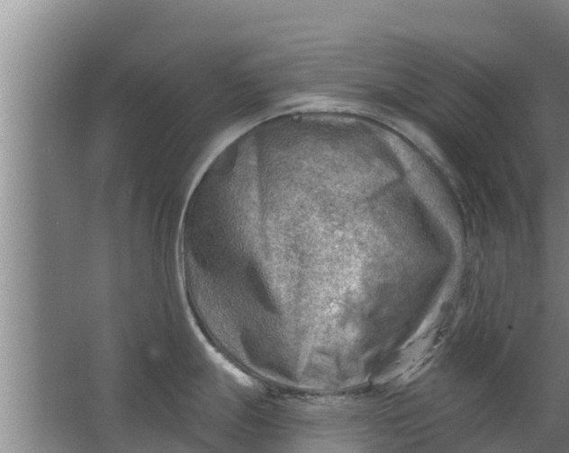 X0000063531247200602032128