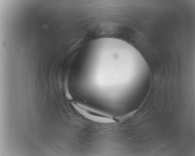 X0000063531250200602032127