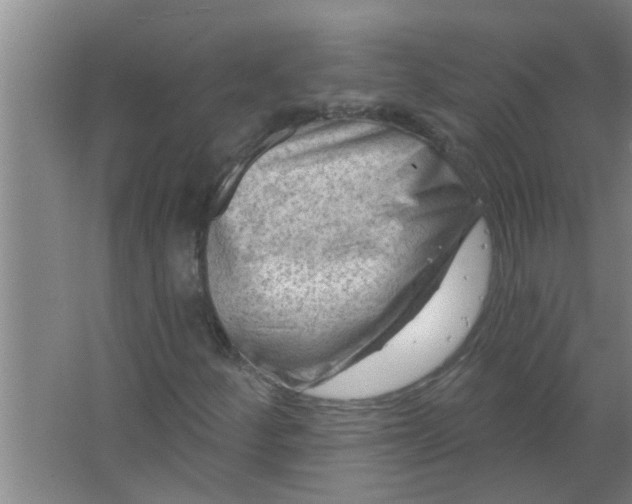 X0000063531252200602032127