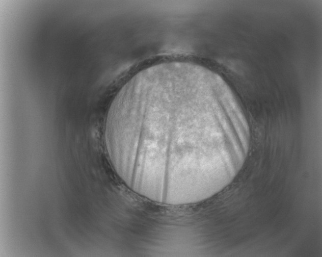 X0000063531254200602032127