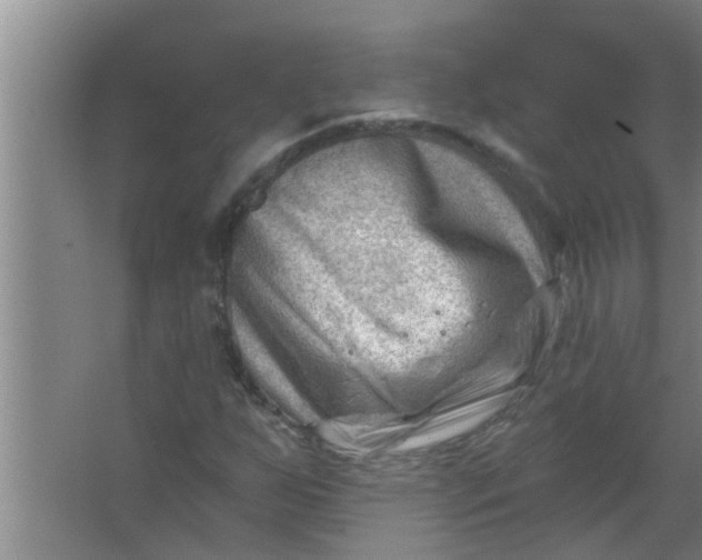 X0000063531255200602032127