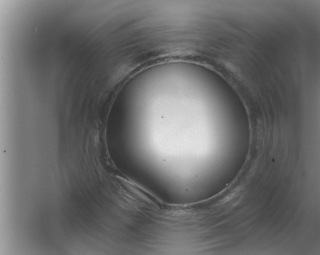 X0000063531257200602032127