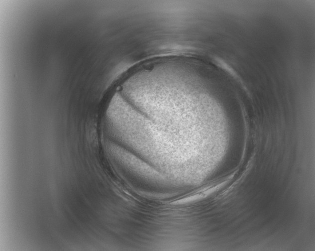 X0000063531259200602032127