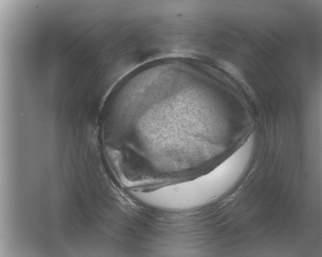 X0000063531260200602032127