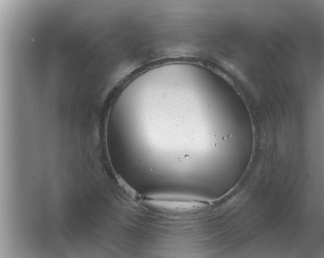 X0000063531261200602032127