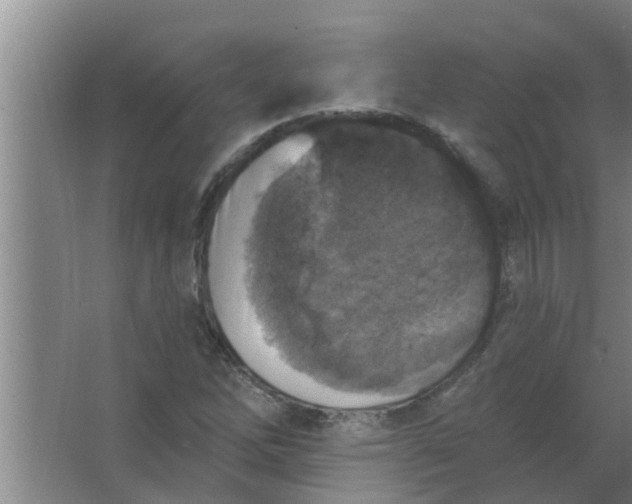 X0000063531262200602032127