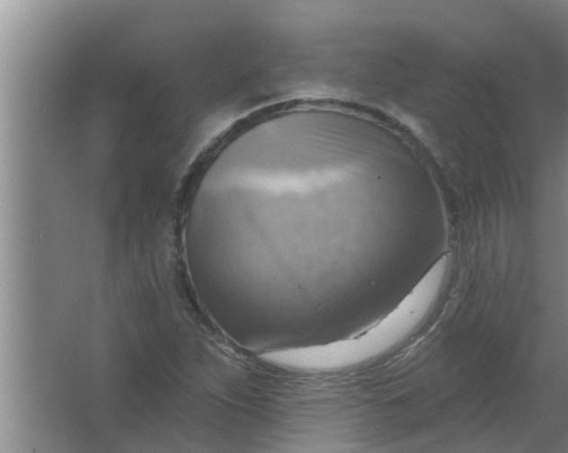 X0000063531263200602032127