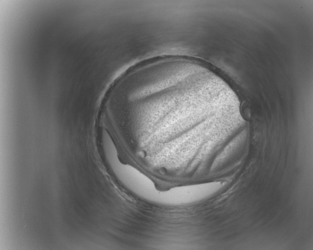 X0000063531264200602032127