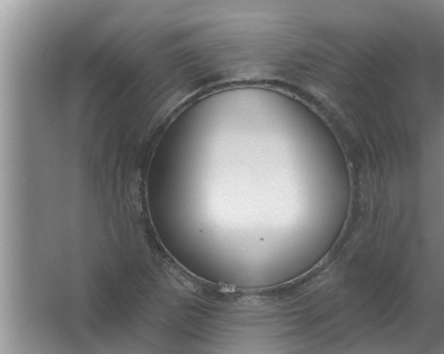 X0000063531265200602032127