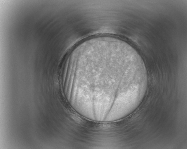 X0000063531266200602032127