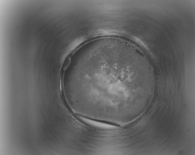 X0000063531269200602032127