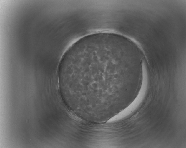 X0000063531271200602032127