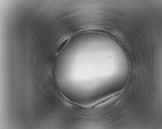 X0000063531273200602032127