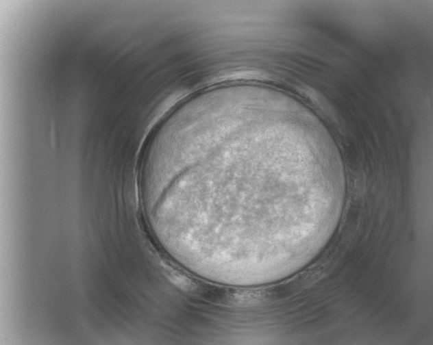 X0000063531274200602032127