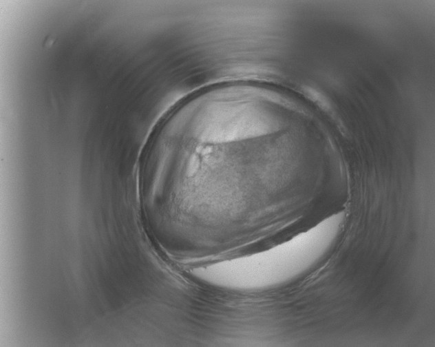 X0000063531275200602032127