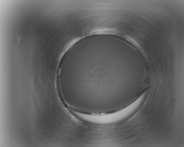 X0000063531277200602032127