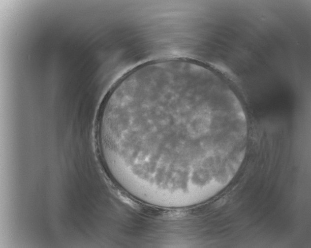 X0000063531278200602032127