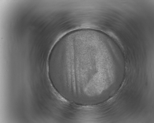 X0000063531280200602032126