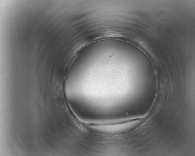 X0000063531281200602032126